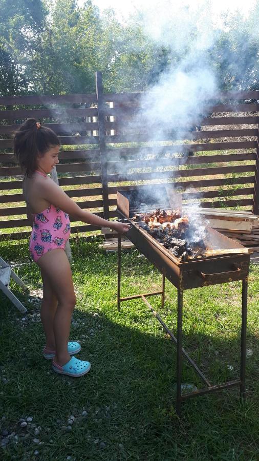 Домики У Лизы Под Ключ ピツンダ エクステリア 写真