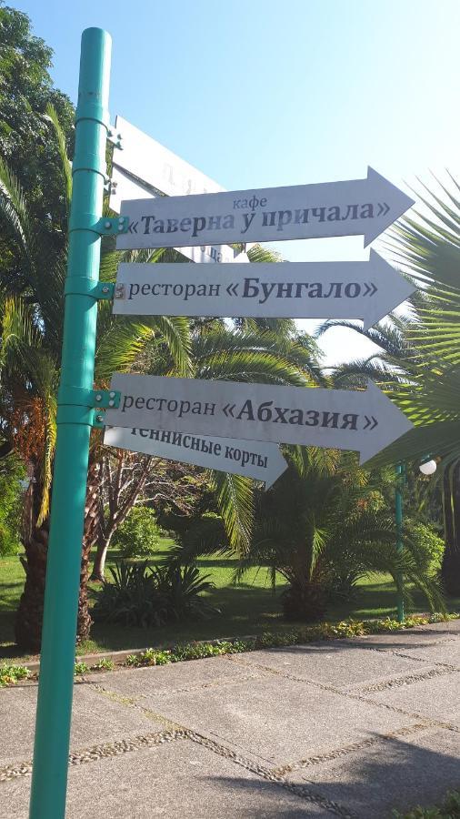 Домики У Лизы Под Ключ ピツンダ エクステリア 写真